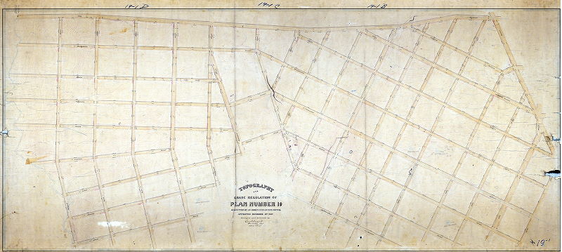 Plan, Topography and grade regulation of Plan Number 19 [Ordinance Dec. 31, 1875; survey returned Dec. 1877; no confirmation date. This plan covers City Plans 342, 343 and 348, and overlaps slightly with 161, 167 and 169. ]