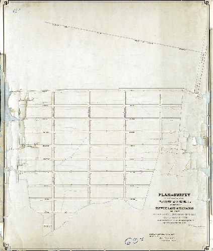 Plan (alternate image), Plan of Survey of that portion of the 27th Ward Philadelphia included in the Elmwood Land Association bounded by Tinicum Island Road, Hog Island Road, Church Creek and land of Mary A. Bonnaffon, made in accordance [Act of Assembly 31 Dec. 1886. All grades below City Datum]