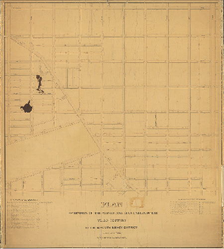Plan, Plan of the revision of the survey and regulation of the Third Section of the Seventh Survey District, Twentieth Ward, Philadelphia. 