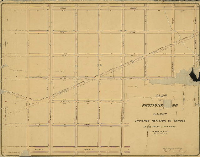 Plan, Plan of Passyunk Road and vicinity showing revision of grades in the 26th Ward [Confirmed July 7, 1873]