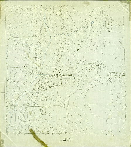 Plan, Topography of Plan 204