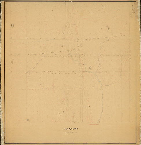 Plan, Topography of Plan 239