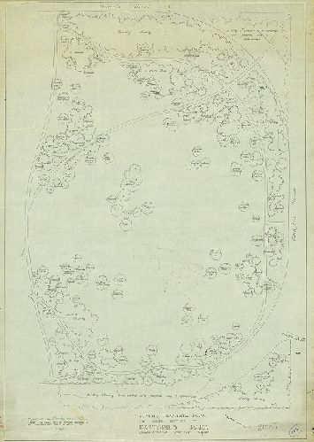 South Section, Pastorius Park (Revised Planting Plans) 