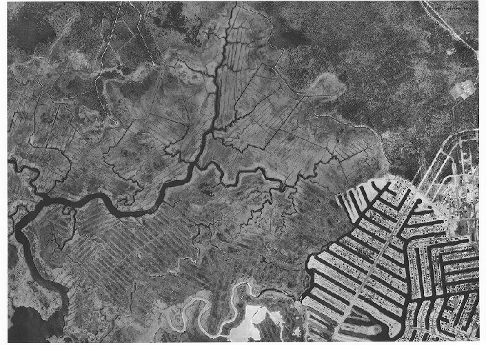 Aerial Photo A51 B16, Aerial Photographs of the Delaware Valley