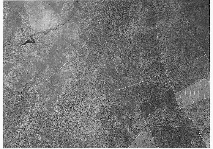 Aerial Photo A45 B24, Aerial Photographs of the Delaware Valley