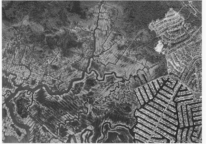 Aerial Photo A51 B16, Aerial Photographs of the Delaware Valley