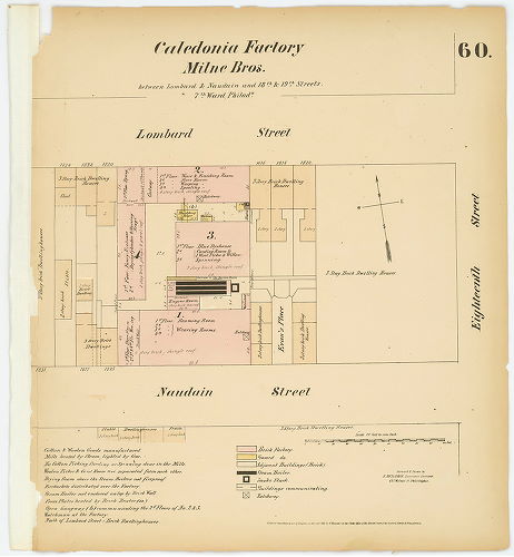 Caledonia Factory, Hexamer General Surveys, Volume 1