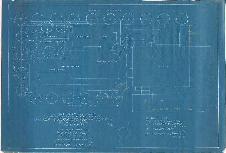Plan, A tree planting plan for the development of the headquarters of the 103rd Observation Squadron, P.N.G. [Pennsylvania National Guard], Philadelphia Airport, Philadelphia, PA. Commonwealth of Pennsylvania, Department of Internal Affairs…John W. Stoker, Landscape Architect. 