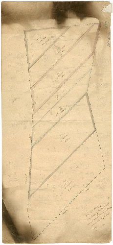 Plan, Grass lot belonging to  estate of Jas. Harper dec'd., measured and divided June 28th 1874 as per directions of Paschall Lloyd.