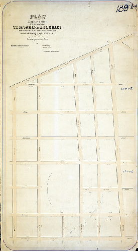 Plan (alternate image), Plan of the 9th Section of the survey of the late Township of Blockley made agreeably to the Act of the General Assembly of the Commonwealth of Pennsylvania, approved Apr. 3rd 1851 and May 13, 1857, by Saml. L. Smedley [Survey returned Dec. 18, 1862; confirmation date not noted], 1862