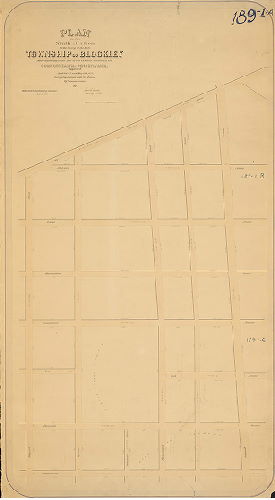 Plan, Plan of the 9th Section of the survey of the late Township of Blockley made agreeably to the Act of the General Assembly of the Commonwealth of Pennsylvania, approved Apr. 3rd 1851 and May 13, 1857, by Saml. L. Smedley [Survey returned Dec. 18, 1862; confirmation date not noted], 1862