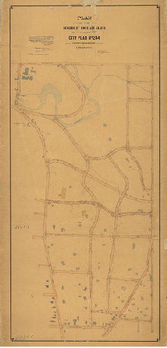 Plan, Plan of the revision of lines and grades on a portion of City Plan No. 284, Twenty-second Ward, Philadelphia [Ordinance June 29, 1894; advertised cot. 21, 1895; confirmed Jan. 20, 1896, 1895