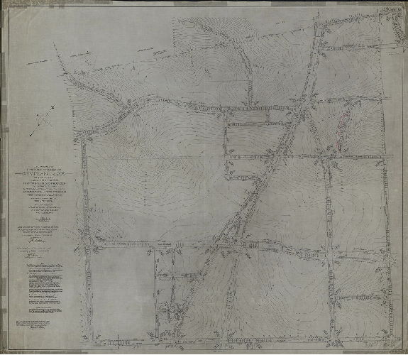 Plan, Revision of lines and grades of City Plan No. 295 … Twenty-first Ward, Philadelphia. [Ordinances Sept. 12, 1916 and Feb. 21, 1927; confirmed Feb. 18 and May 20, 1929], 1929