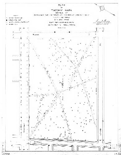 Plan, Plan of Tacony Park bounded by Torresdale Ave., Cottman St., Edmund St., and Bleigh St., Forty-first Ward Philadelphia. Made for Lighting Survey, Department of Public Works. , 1933