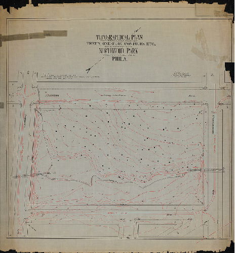 Plan, Topographical plan showing location of trees, one-foot contours, etc., of a portion of Northwood Park, Twenty-third Ward, Phila. J. H. Webster, Jr., Sur. & Reg. 10th Dist., June 12, 1901. , 1901