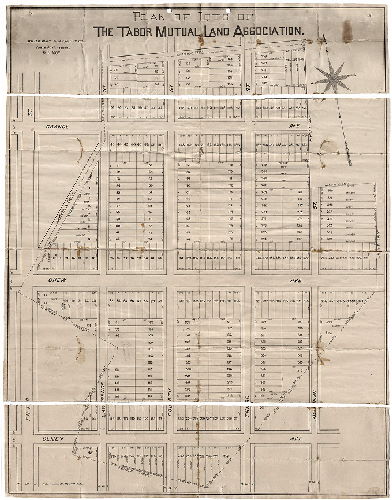 Plan, Plan of lots of the Tabor Mutual Land Association. Walter Jones, Surv. & Reg'r. 9th Dist., Scale 80 ft. = 1 inch. Oct. 1887. F. Bourquin, Lith., 31 S. 6th St., Phila., 1887