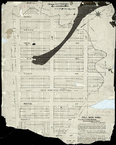Plan, Bell Road Park (Gladwyn Land Association), 1888