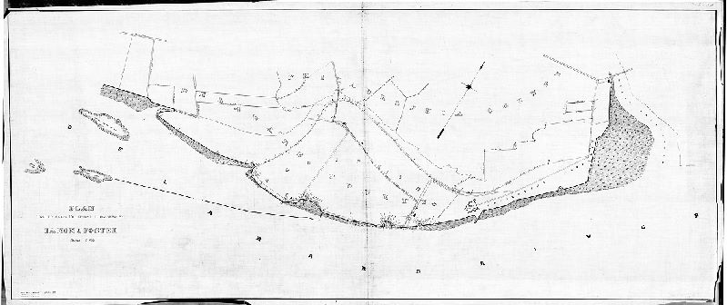 Plan, Plan [of property in Southwest Philadelphia] traced from blueprint provided by Damon & Foster [Tracing copy made in 1929 by P. W. M. Yeager], 1884