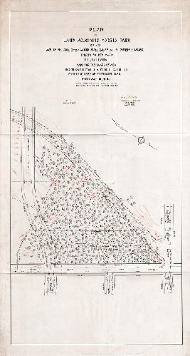 Plan, Plan of land adjoining Morris Park between Woodbine, Sherwood Ave., 66th St. and Morris Park, Thirty-fourth Ward, Philadelphia. Made for the Board of View in conformity with a resolution of the Commissioners of Fairmount park dated July 12, 1916. Lines and grades of streets confirmed 1-4-1909. Boundaries of Morris Park confirmed 12-29-1915., 1916