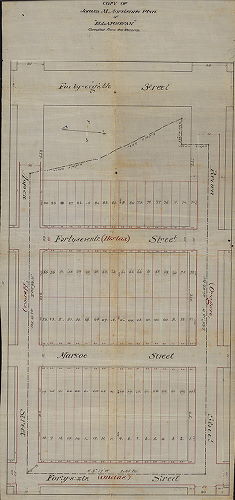 Plan, Copy of James M. Morrison's plan of "Ellangowan" compiled from the records., 1880 ca.