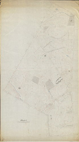 Plan, Plan of topography [for City Plan 244], 1890